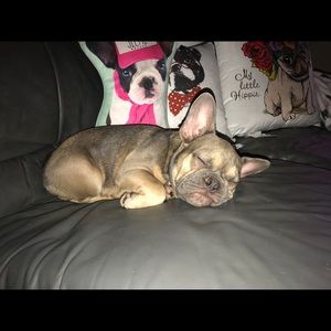 Meet your Posher, Maggie